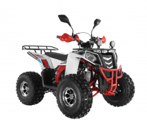  Wels ATV THUNDER EVO 125  s-dostavka  -  .       